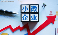 、个别工商户小我运营所得税正在享受现有优惠