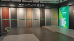 苦守“以科技引领健康家居”的品